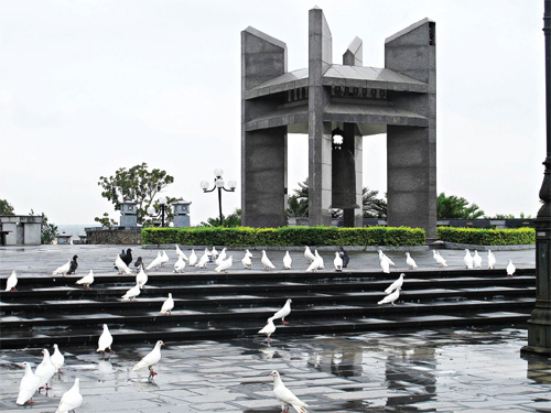 Cánh chim hòa bình